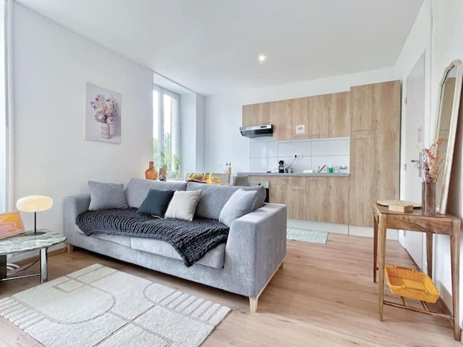 1 Appartement 3P Ideal Famille Travail Renove Lumineux Parking Gratuit Mulhouse Exterior foto