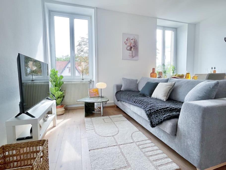 1 Appartement 3P Ideal Famille Travail Renove Lumineux Parking Gratuit Mulhouse Exterior foto