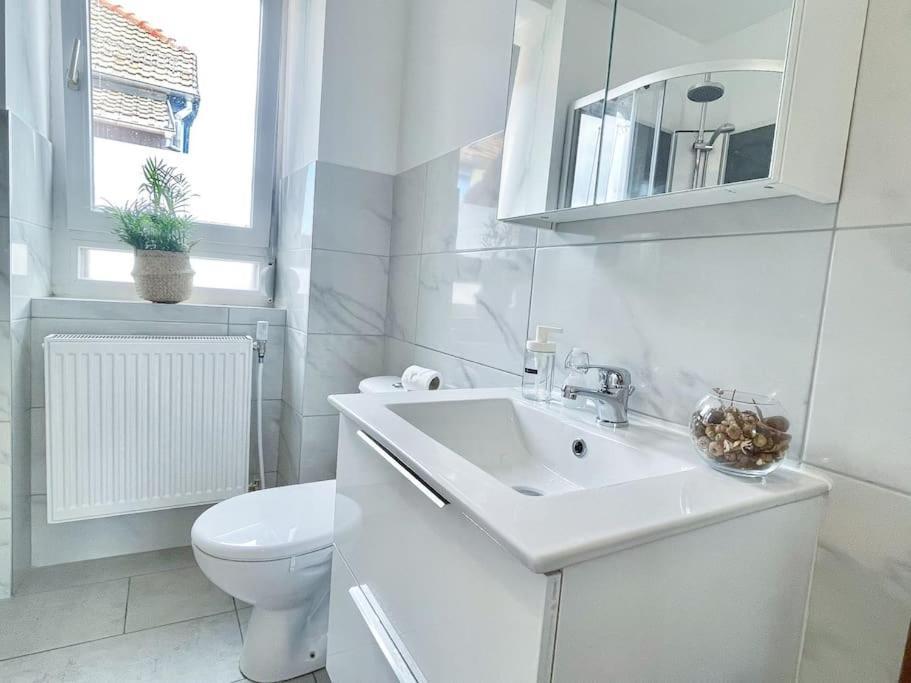 1 Appartement 3P Ideal Famille Travail Renove Lumineux Parking Gratuit Mulhouse Exterior foto
