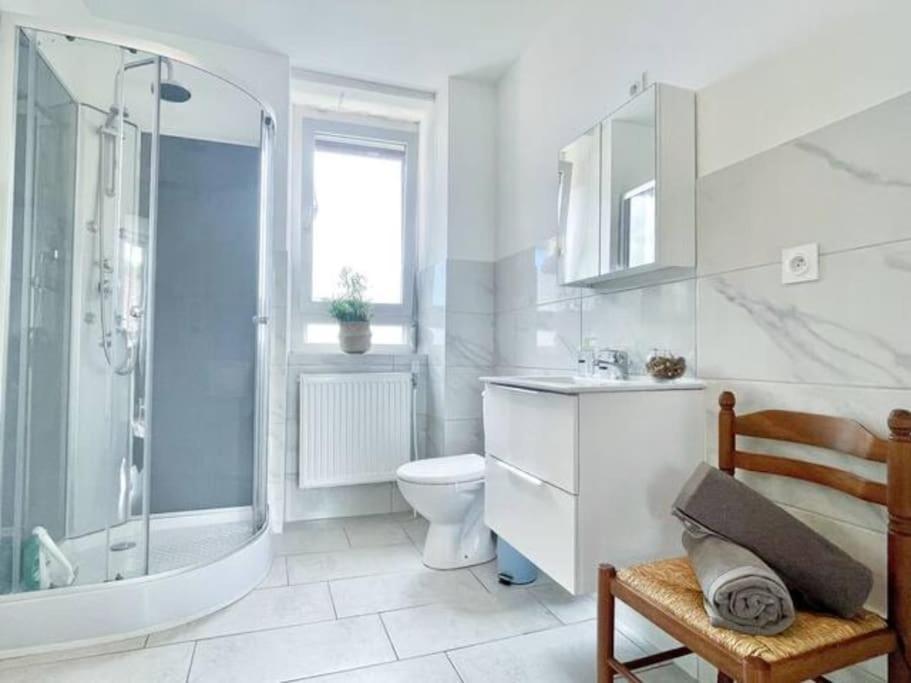 1 Appartement 3P Ideal Famille Travail Renove Lumineux Parking Gratuit Mulhouse Exterior foto
